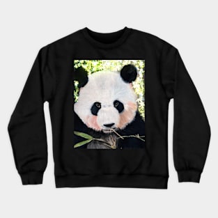 Panda Bear Crewneck Sweatshirt